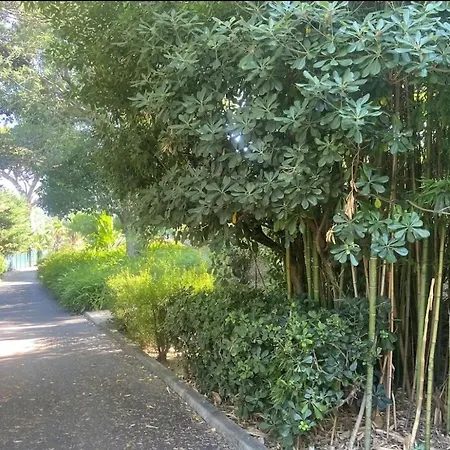 2p Vue Panoramique Cannes Eden