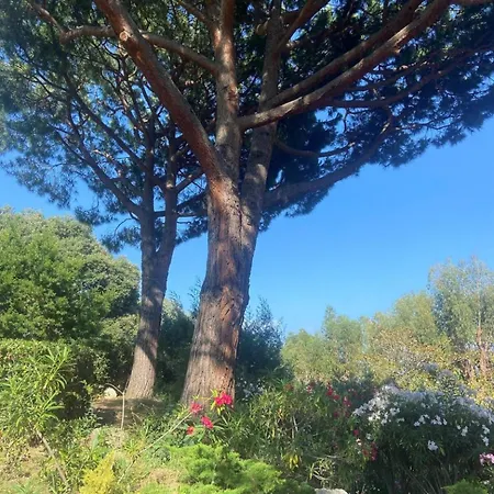 Appartamento 2p Vue Panoramique Cannes Eden Vallauris