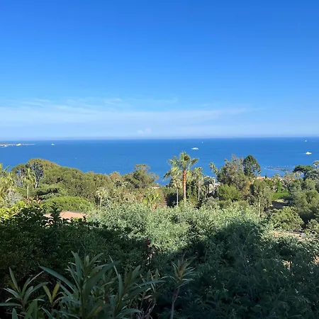 2p Vue Panoramique Cannes Eden Vallauris